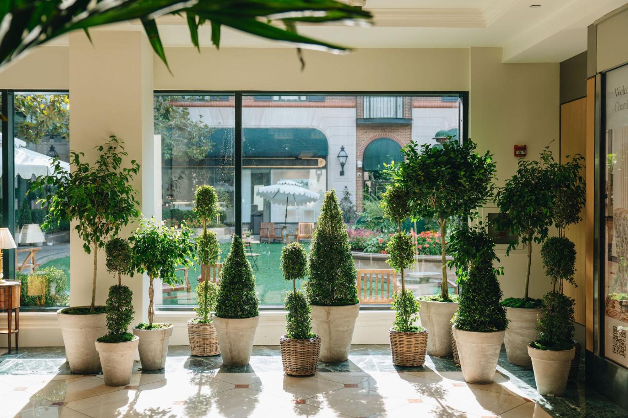The Charleston Place Ngoại thất bức ảnh